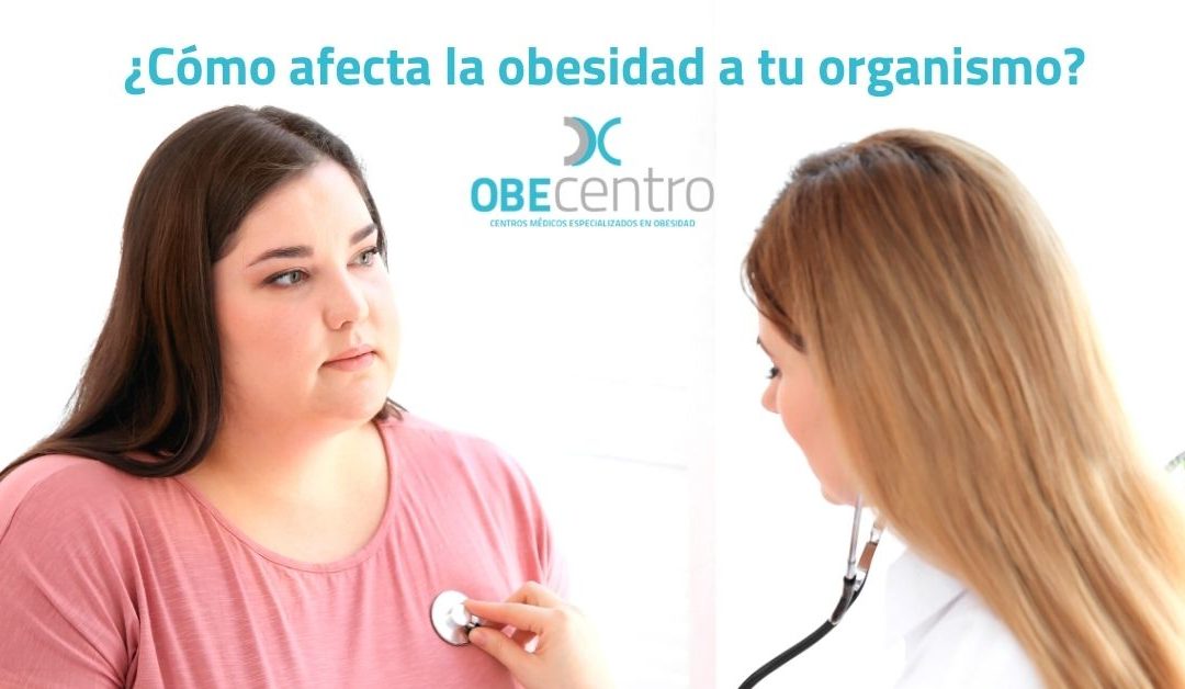 ¿Cómo afecta la obesidad a tu organismo?