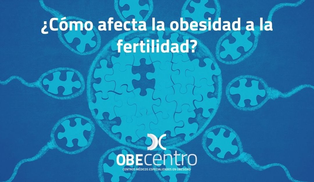 ¿Cómo afecta la obesidad a la fertilidad?