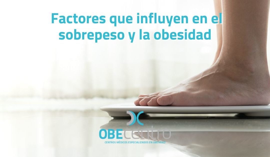Factores que influyen en el sobrepeso y la obesidad