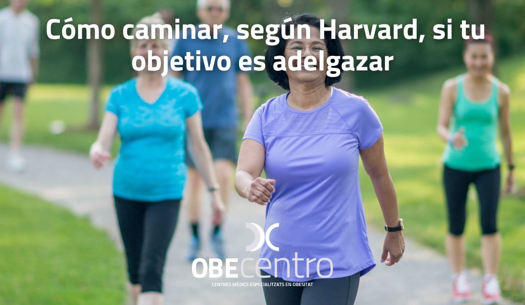 Cómo caminar, según Harvard, si tu objetivo es adelgazar