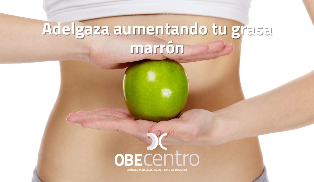 Adelgaza aumentando tu grasa marrón