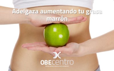 Adelgaza aumentando tu grasa marrón